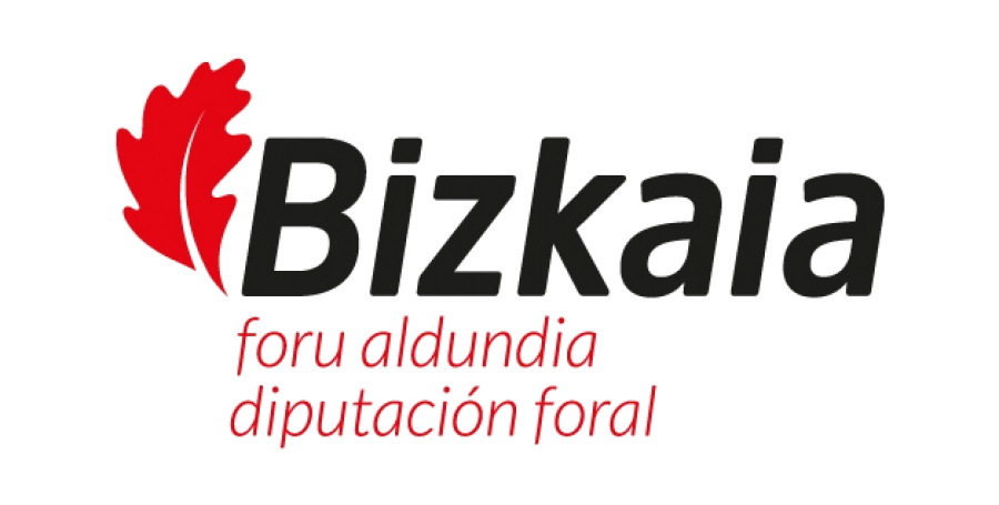 Provincial Council of Bizkaia